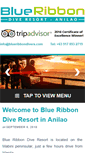 Mobile Screenshot of blueribbondivers.com